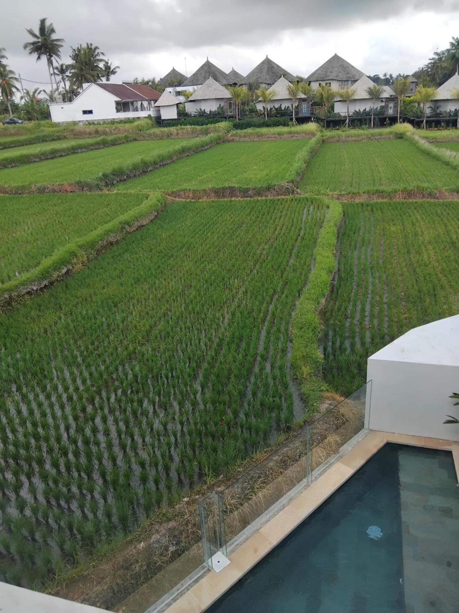 Sujiwa Ubud Hotel & Villa Exteriér fotografie